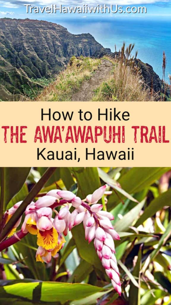 Discover the ultimate trail guide for the epic Awa'awapuhi Trail in Koke'e State Park in Kauai, Hawaii!