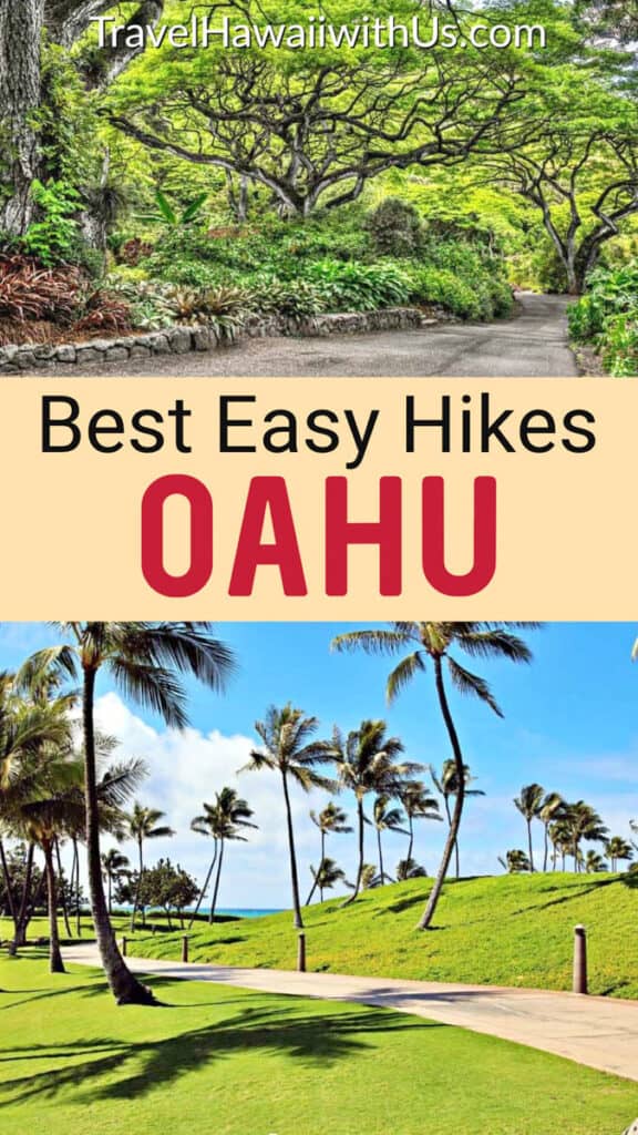 Discover easy hiking trails in Oahu, Hawaii, from the gorgeous Makapuu Lighthouse Trail to the lovely Manoa falls Trail!