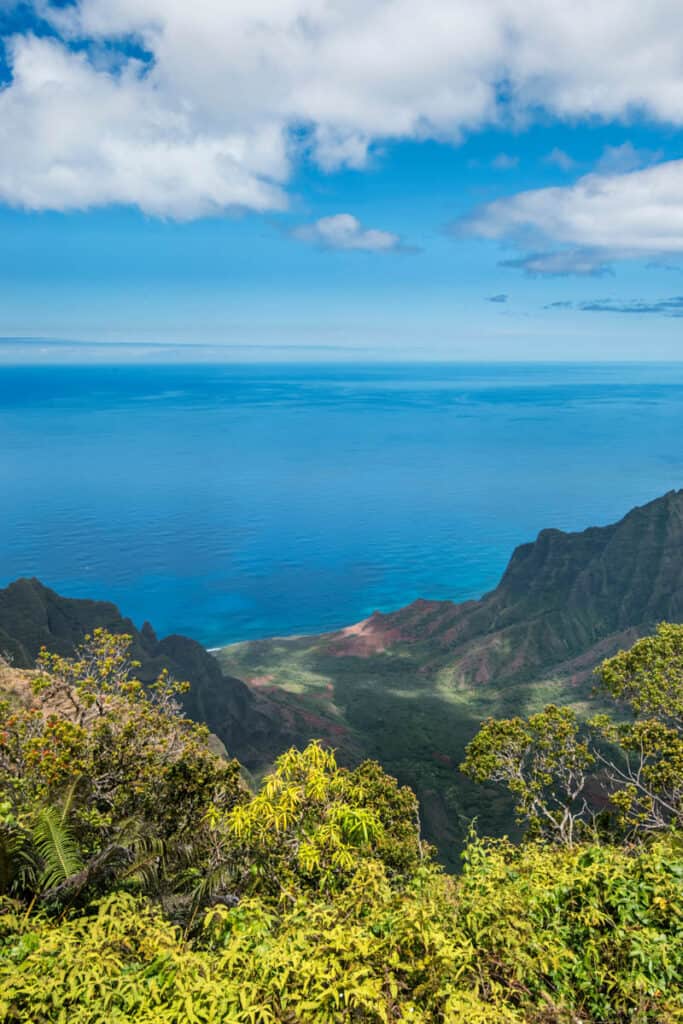 The Kalalau Valley and the Pacific Ocean from Kokee State Park in Kauai, Hawaii