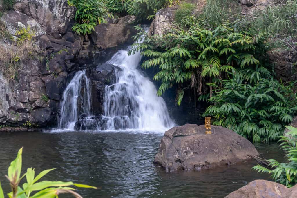 Cascade at top of Waipoo Falls in Kokee State Park, Kauai, Hawaii