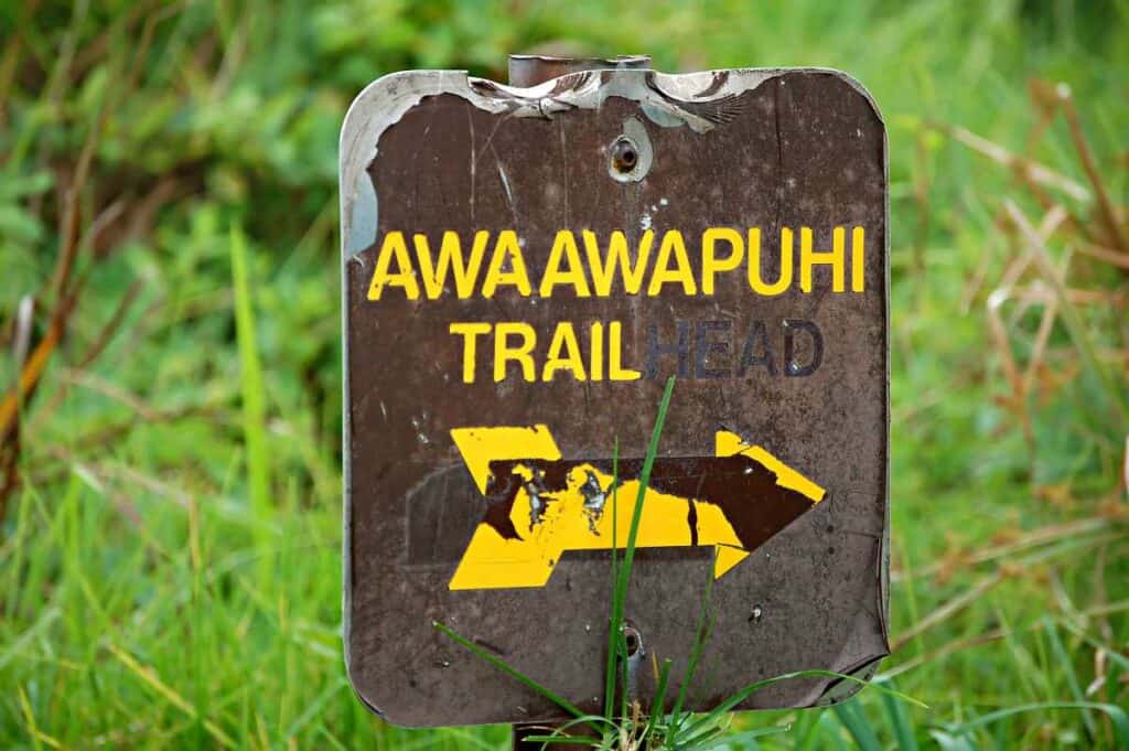Awa'awapuhi Trail trailhead in Koke'e State park, Kauai