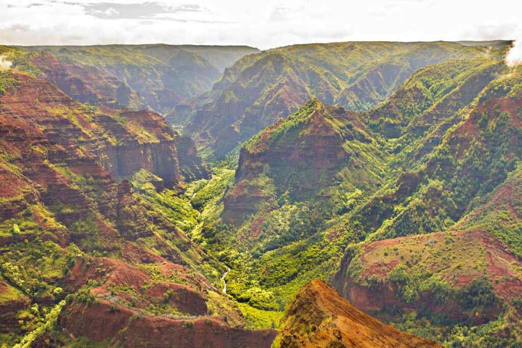Dramatic contrast between the red soil and green lush vegetation in Waimea Canyon from the Waipo'o Falls Trail, Kauai