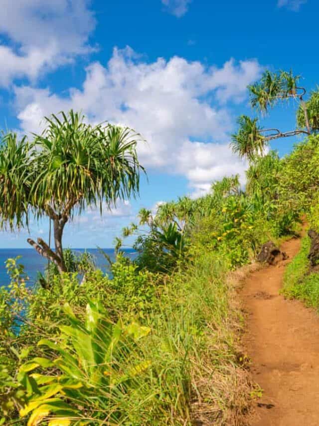 Best Hikes in Kauai Story