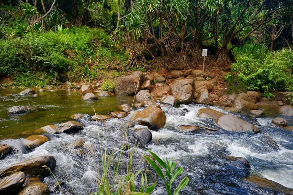 Hanakapiai Stream crossing on the Kalalau Trail, dangerous after storms