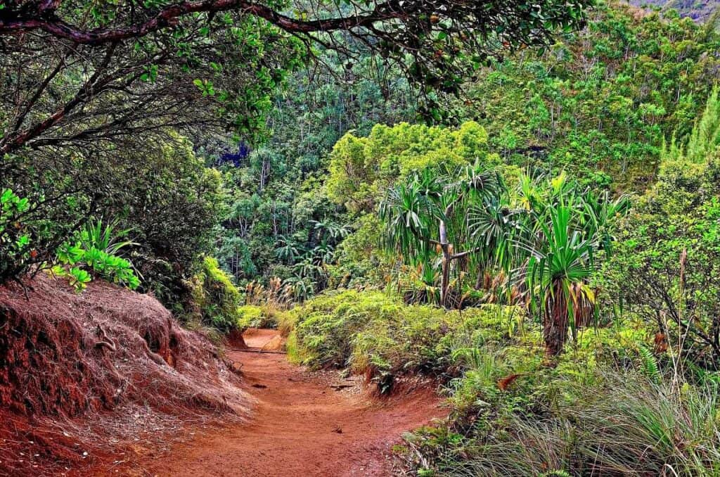 Kalalau Trail, Kauai, a popular running trail for competitive athletes