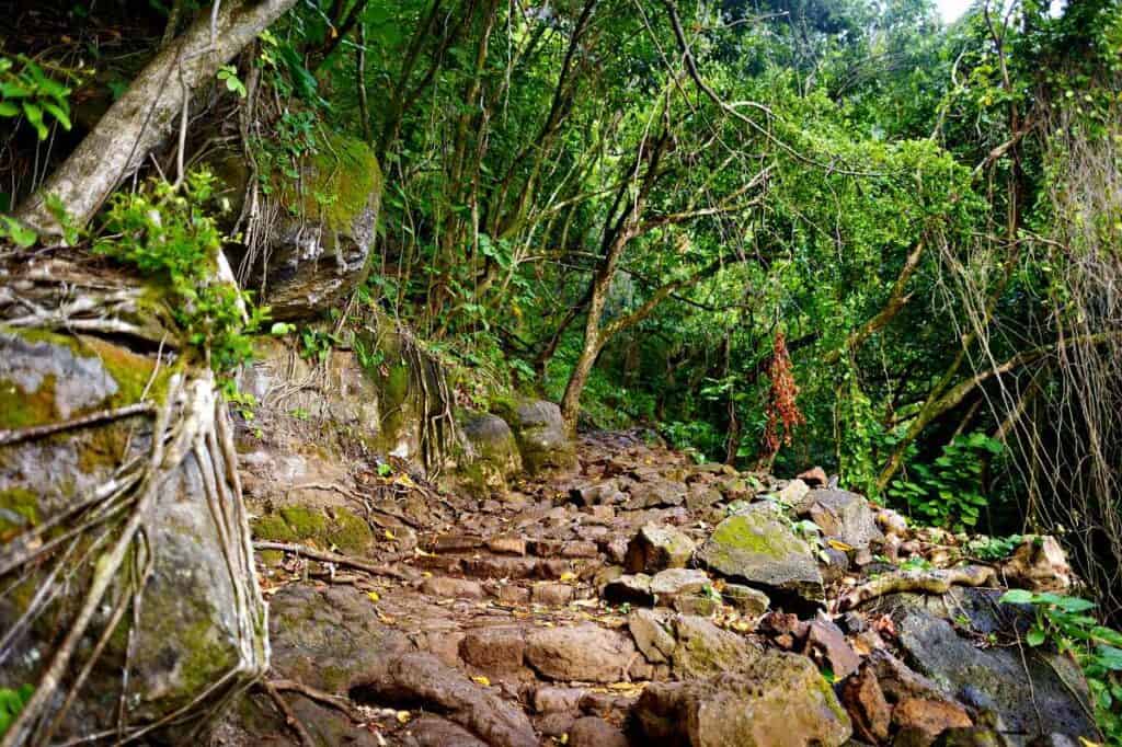 Kalalau Trail is very popular, and you need to make reservations