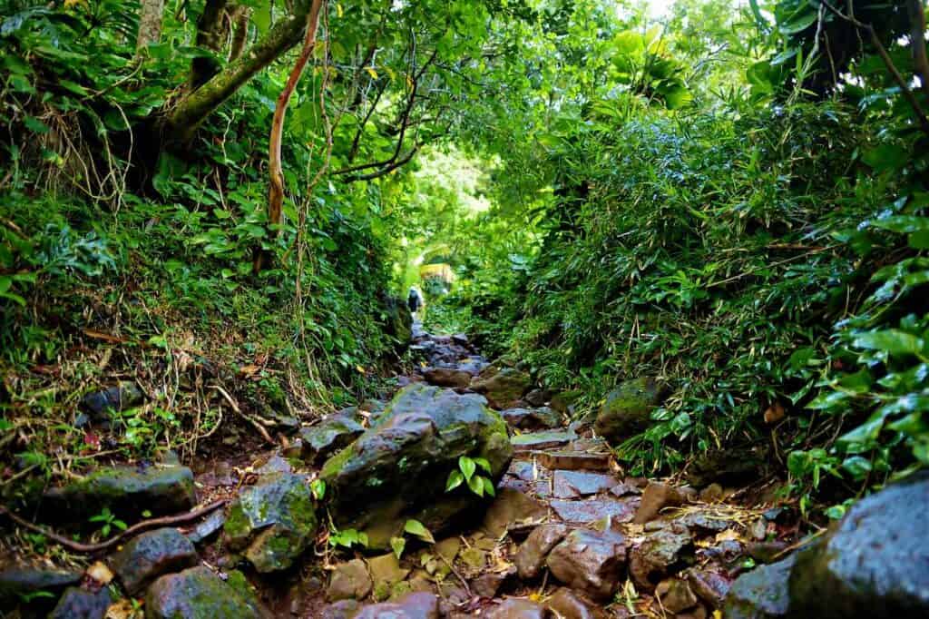 Kalalau Trail through remote jungles of Napali Coast, no cell service
