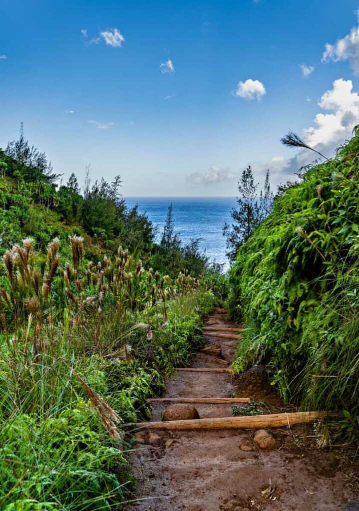 Initial sections of the Kalalau Trail are wide and maintained