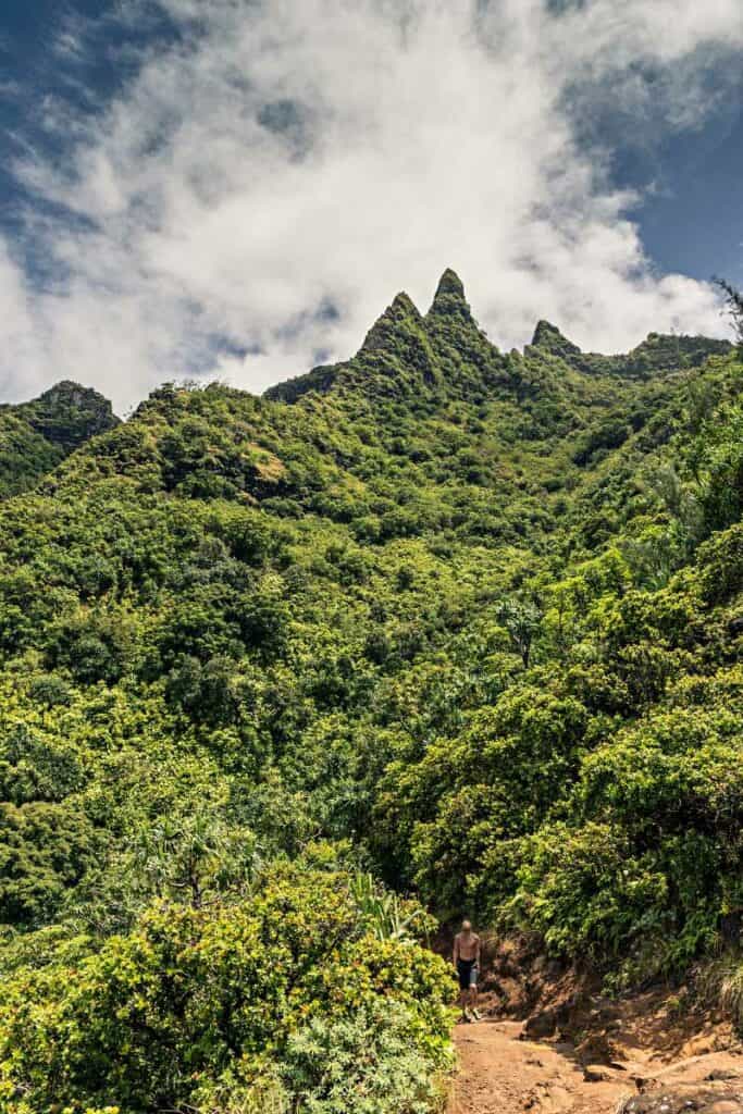 Hiker on Kalalau Trail Kauai against a beautiful mountain backdrop