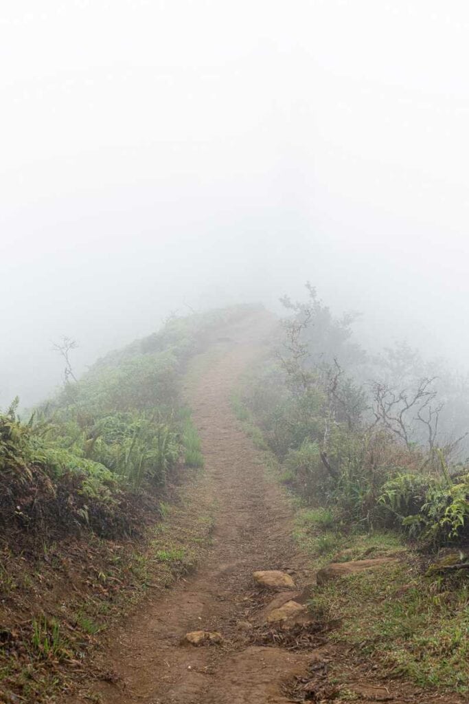 Thick fog obscuring the Waihee Ridge Trail in Maui, Hawaii.