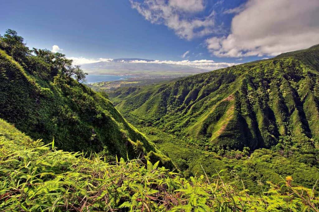 Beautiful tropical rainforest mountains and valleys from the Waihee Ridge Trail, Maui