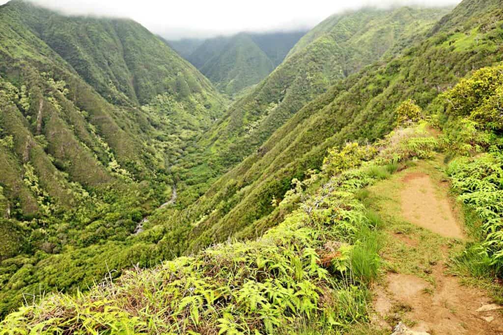 Waihe'e Valley along the Waihee Ridge Trail, Maui