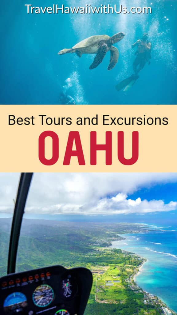 Discover the must-book tours, guided activities, and excursions in Oahu, Hawaii, from helicopter tours to parasailing, shark cage diving, swimming with dolphins and more!