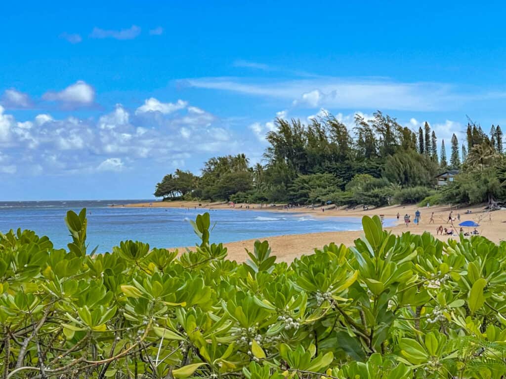 Haena Beach Park in Kauai, Hawaii, next to Tunnels Beach
