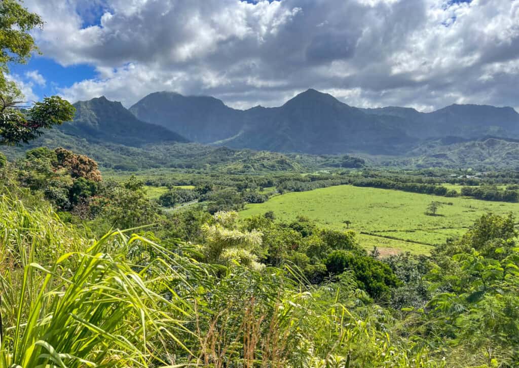 A view over Hanalei Valley in Kauai, Hawaii