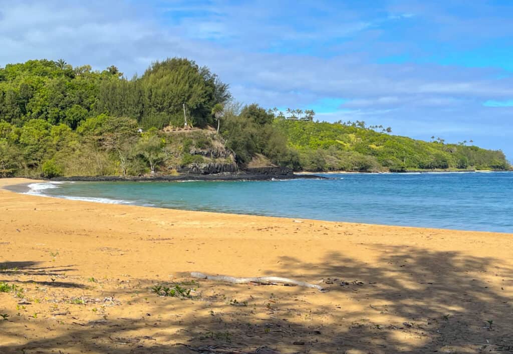 Kalihiwai Beach is one of the prettiest beaches on the north shore of Kauai, Hawaii