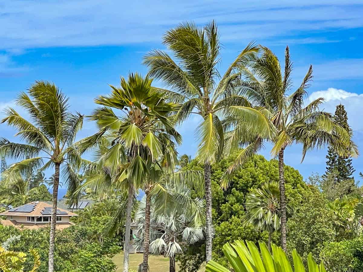 Condos in Princeville, among the best places to stay in Kauai, Hawaii