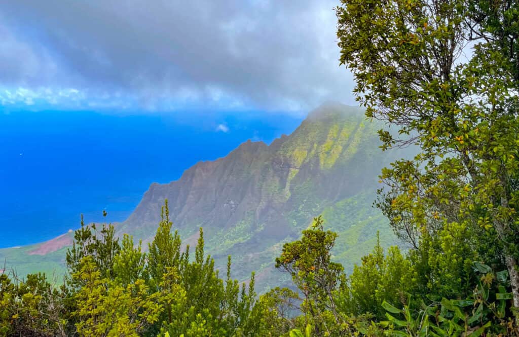 View from Kokee State Park in Kauai, Hawaii