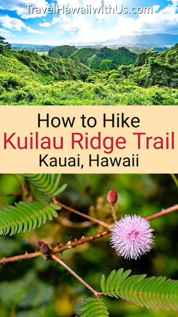 Discover the complete guide to hiking the easy Kuilau Ridge Trail in Kauai, Hawaii!