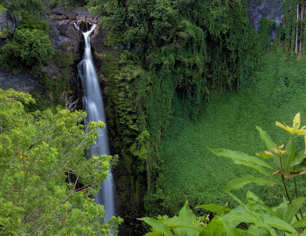 Stunning Makahiku Falls in dense rainforest foliage