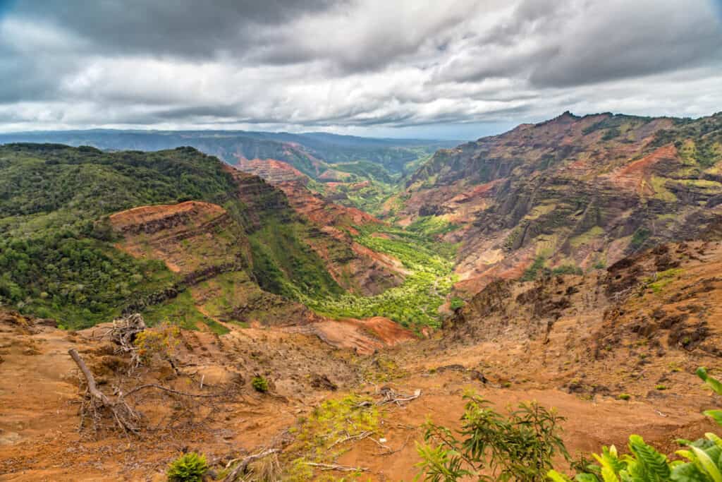 A view of Waimea Canyon from the Pu'u Hinahina Lookout in Kauai, Hawaii