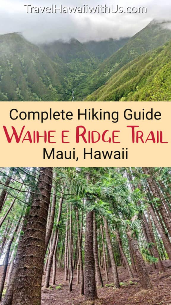 Get the complete guide to hiking the challenging Waihe'e Ridge Trail in the West Maui Mountains! The trail offers magnificent views of both the mountains and the coast. It's one of the best maui hikes you can do!