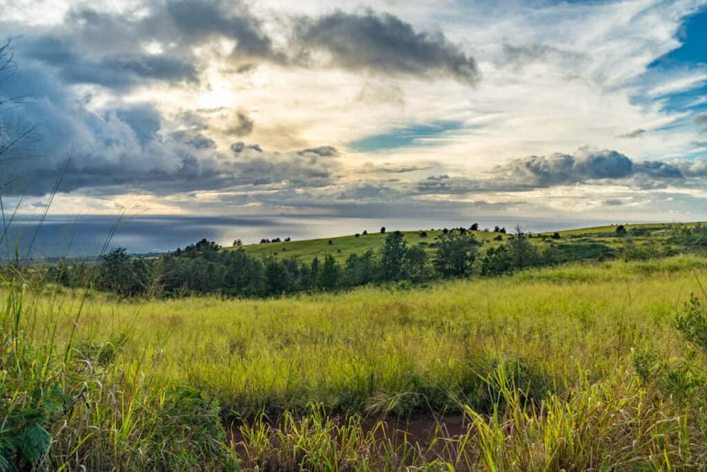 A view of the ocean from Highway 550 in Kauai, Hawaii