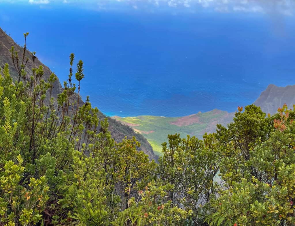 A view from Kokee State Park in Kauai Hawaii