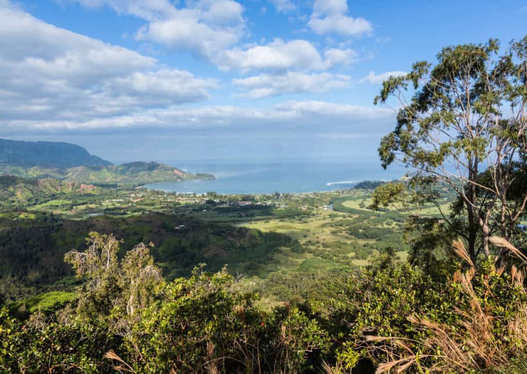 A view from the Okolehao Trail near Hanalei, Kauai