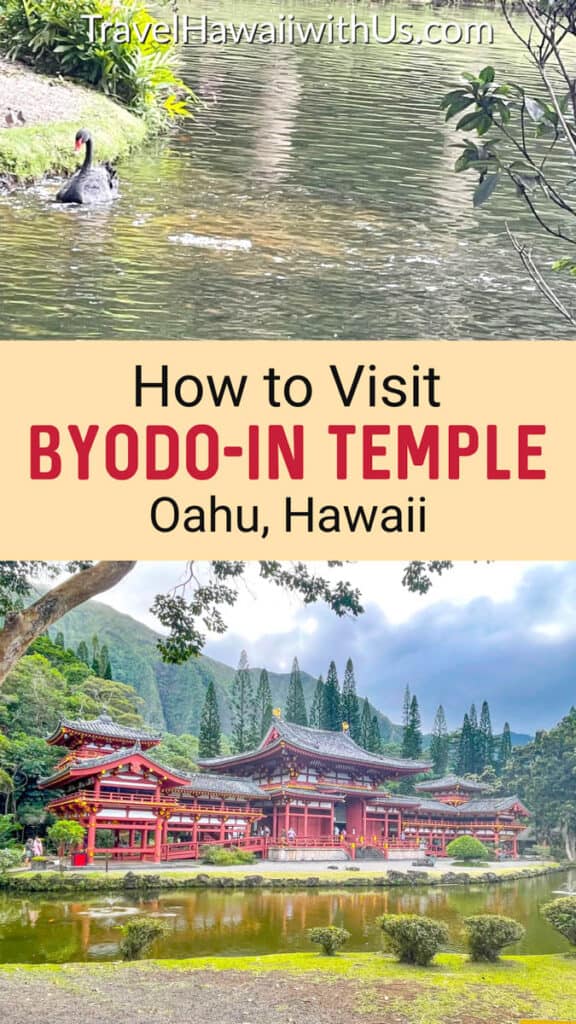 Learn how to visit the beautiful Byodo-In Buddhist Temple in Oahu, Hawaii. What to see and do, plus hours and fees and what to do nearby.
