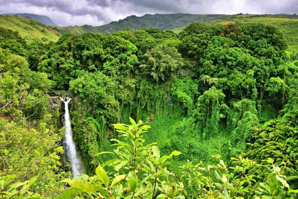 Makahiku Falls and stunning tropical rainforest along the Pipiwai Trail