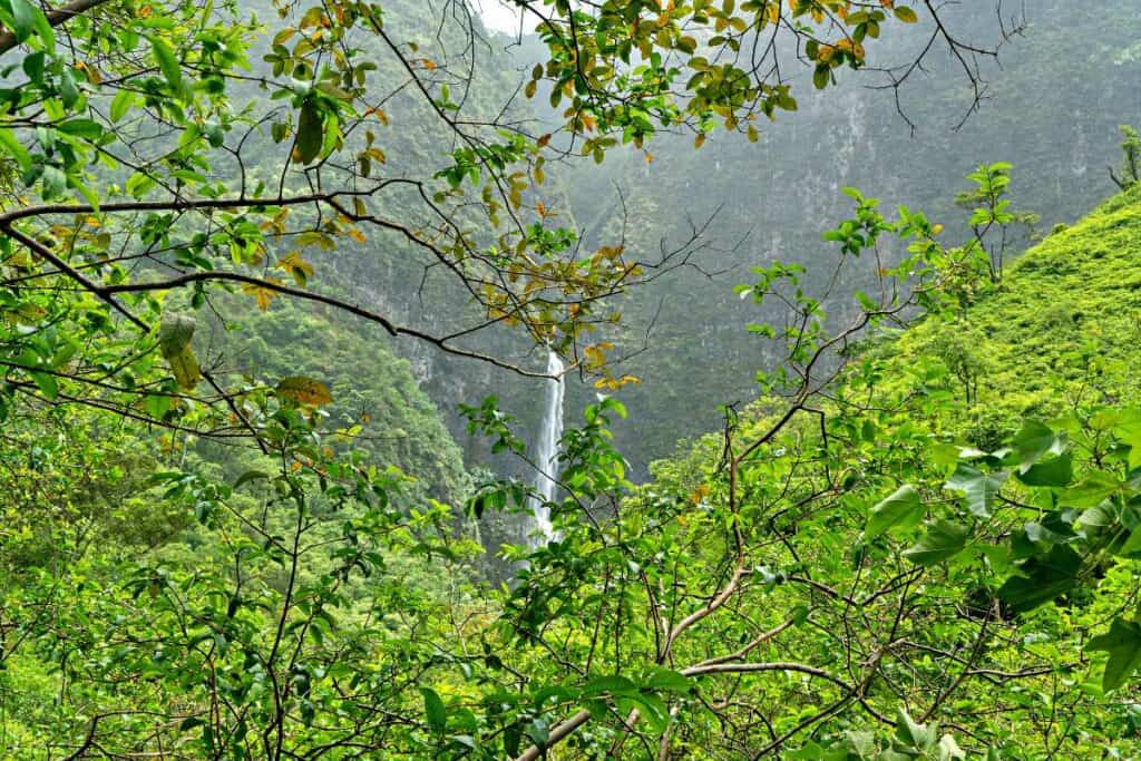 Hanakapiai Falls from the Hanakapiai Falls Trail, one of the best Kauai hikes from the Haena State Park
