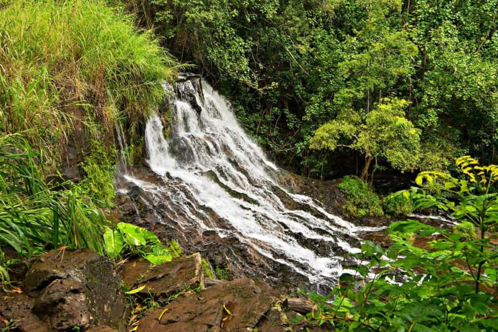 Ho'opi'i Falls on Kauai, Hawaii, in a lush tropical jungle setting