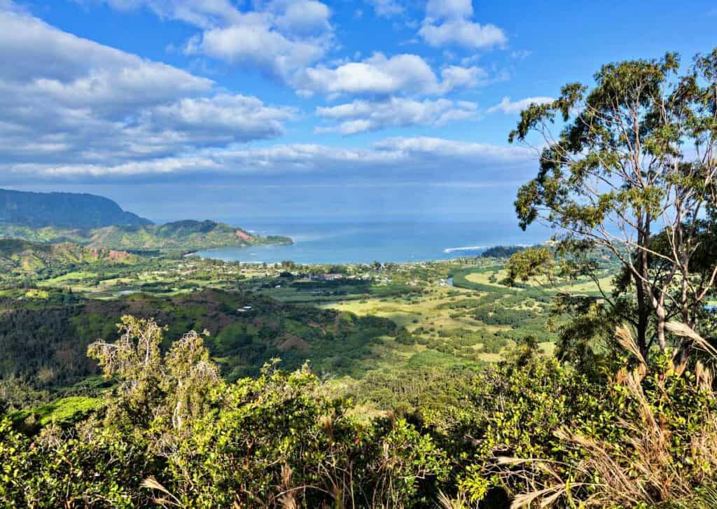 Hanalei bay and Na Pali range from Okolehao Trail, one of the best easy Kauai hikes near Princeville and Hanalei