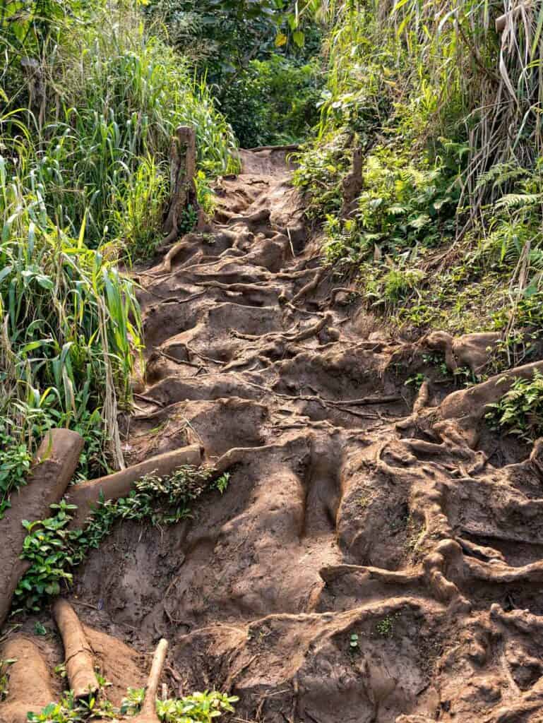 Some of Hawaii's trails can be wet, muddy and slippery, so good hiking shoes and trekking poles will help!