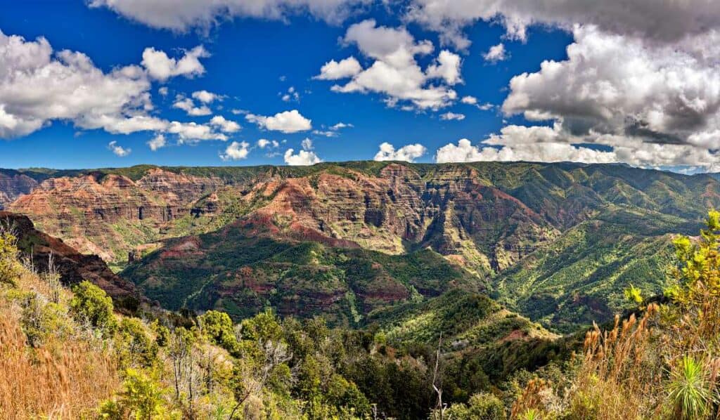 Red canyon walls from the Iliau Nature Loop Trail, one of the easiest Waimea Canyon hikes
