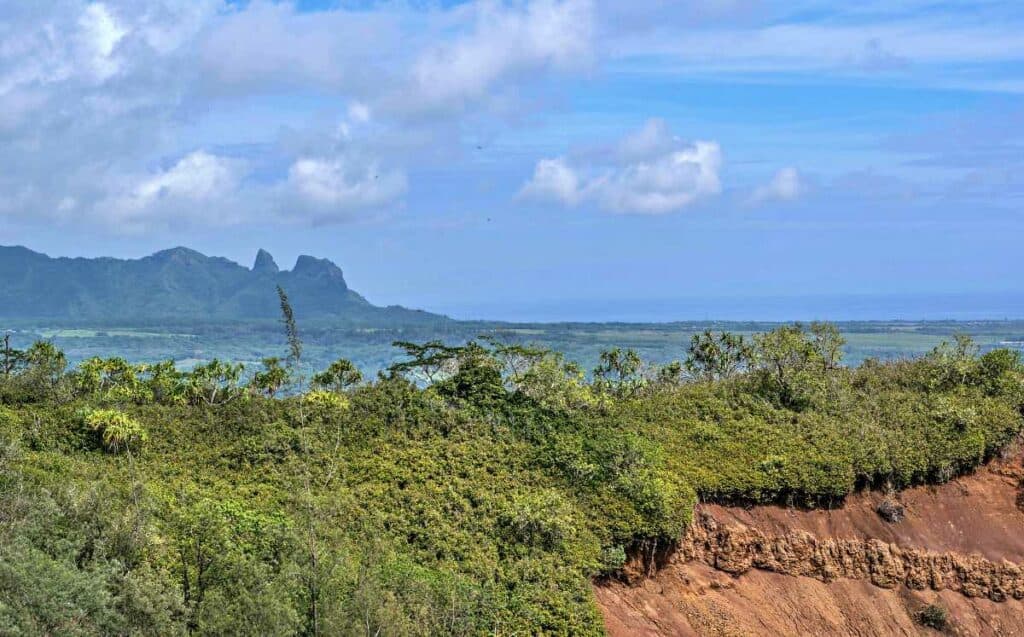 Kong Mountain in the background, on the Nounou trail, towards Sleeping Giant, on Kauai