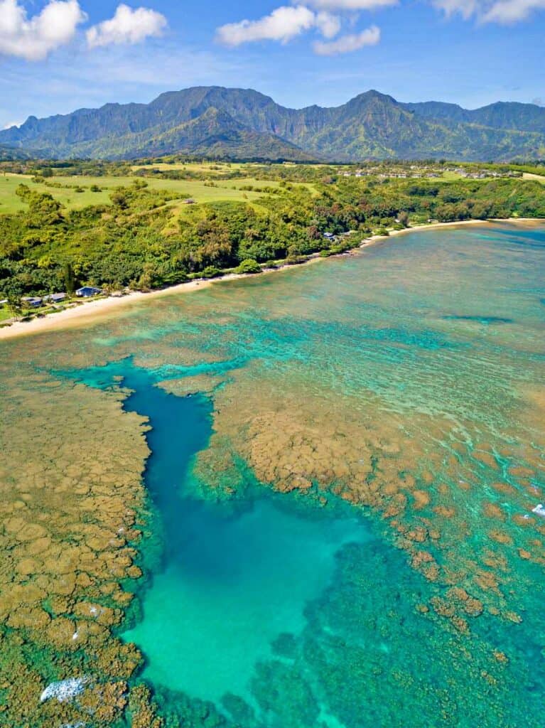 Extensive coral reef all along Anini Beach, one of the best Kauai snorkeling beaches on the North Shore