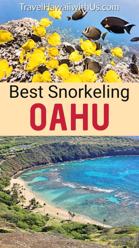 Discover the best spots to snorkel in Oahu, Hawaii, from Hanauma Bay to the Ko Olina lagoons!