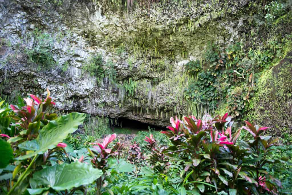 Fern Grotto in the Wailua River Valley in Kauai, Hawaii
