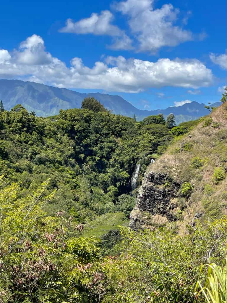Opaekaa Falls Landscape Kauai