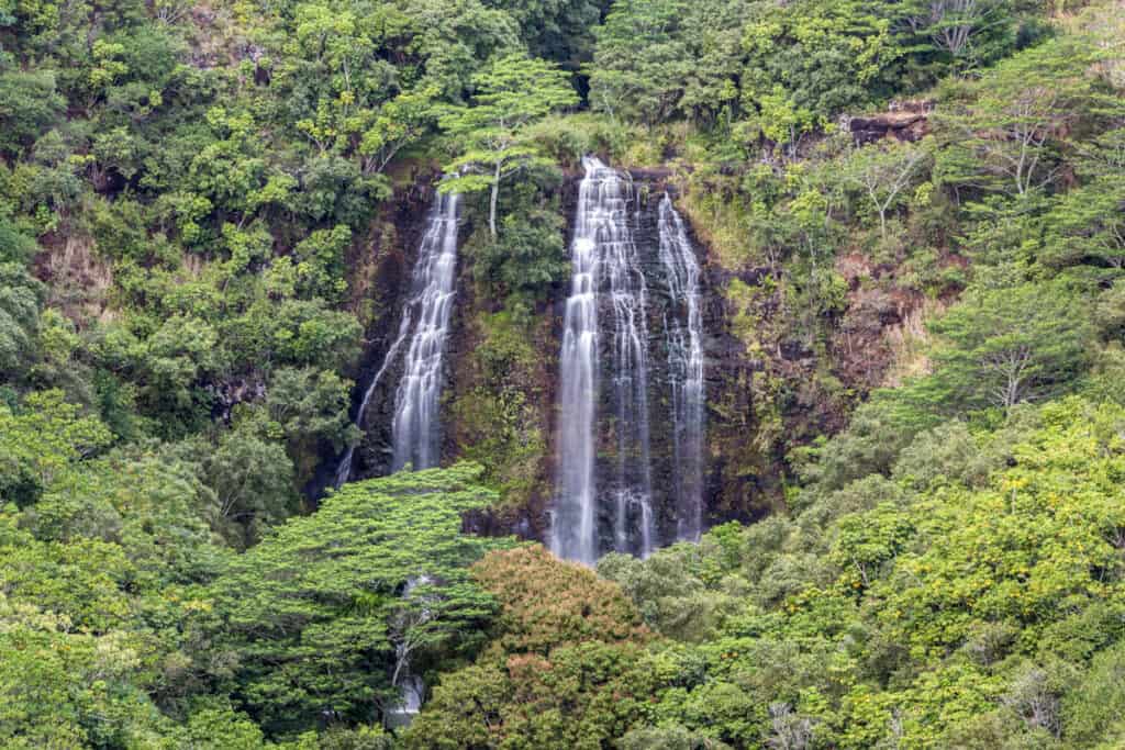 Opaekaa Falls in Wailua River State Park in Kauai, Hawaii