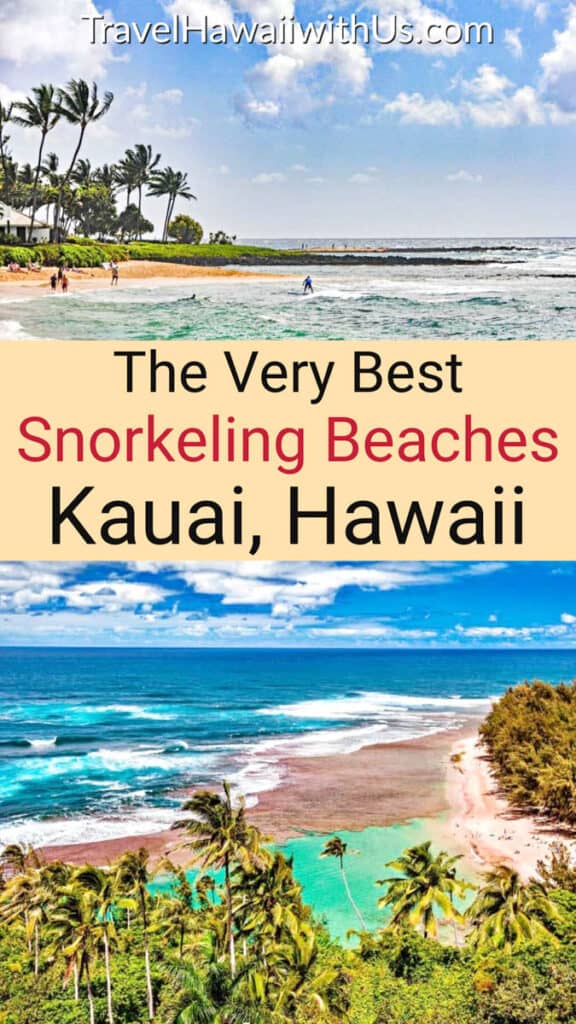 Discover the top snorkeling beaches in Kauai, from Tunnels Beach on the north shore to Lydgate Beach Park on the east side and Poipu Beach on the south shore. 