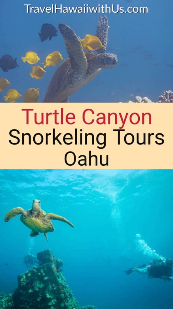 Discover the top Turtle Canyon snorkeling tours in Oahu, Hawaii! Snorkel with Hawaiian green sea turtles and lots of colorful tropical fish!
