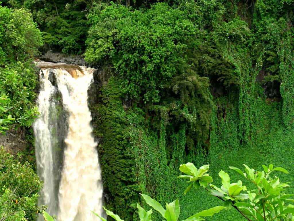 Makahiku Falls, one of best waterfalls in Maui for Instagram photos
