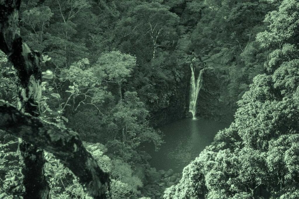 Puohokamoa Falls, one of the more secluded waterfalls in Maui, Hawaii
