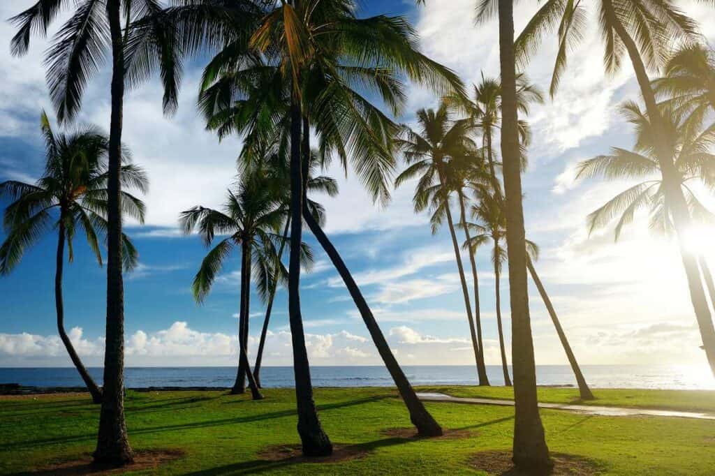 Beautiful Salt Pond Beach Park on Kauai, Hawaii, with coconut palm trees along the beach