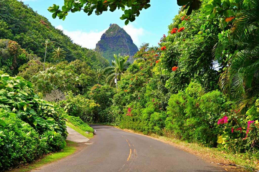 Scenic Kuhio Highway on the North Shore of Kauai towards Haena Beach