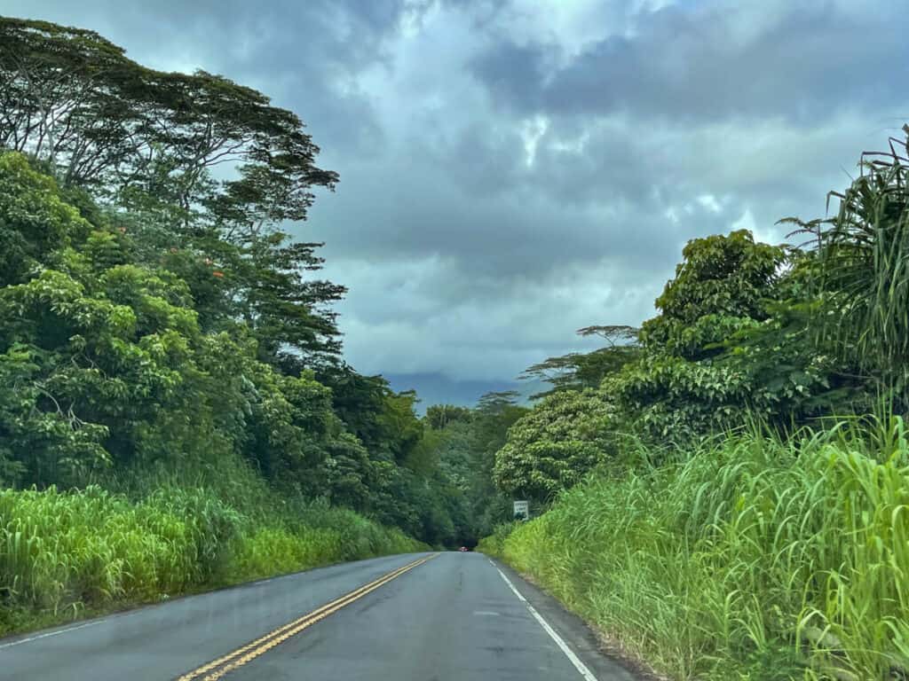 The highway on Kauai's north shore