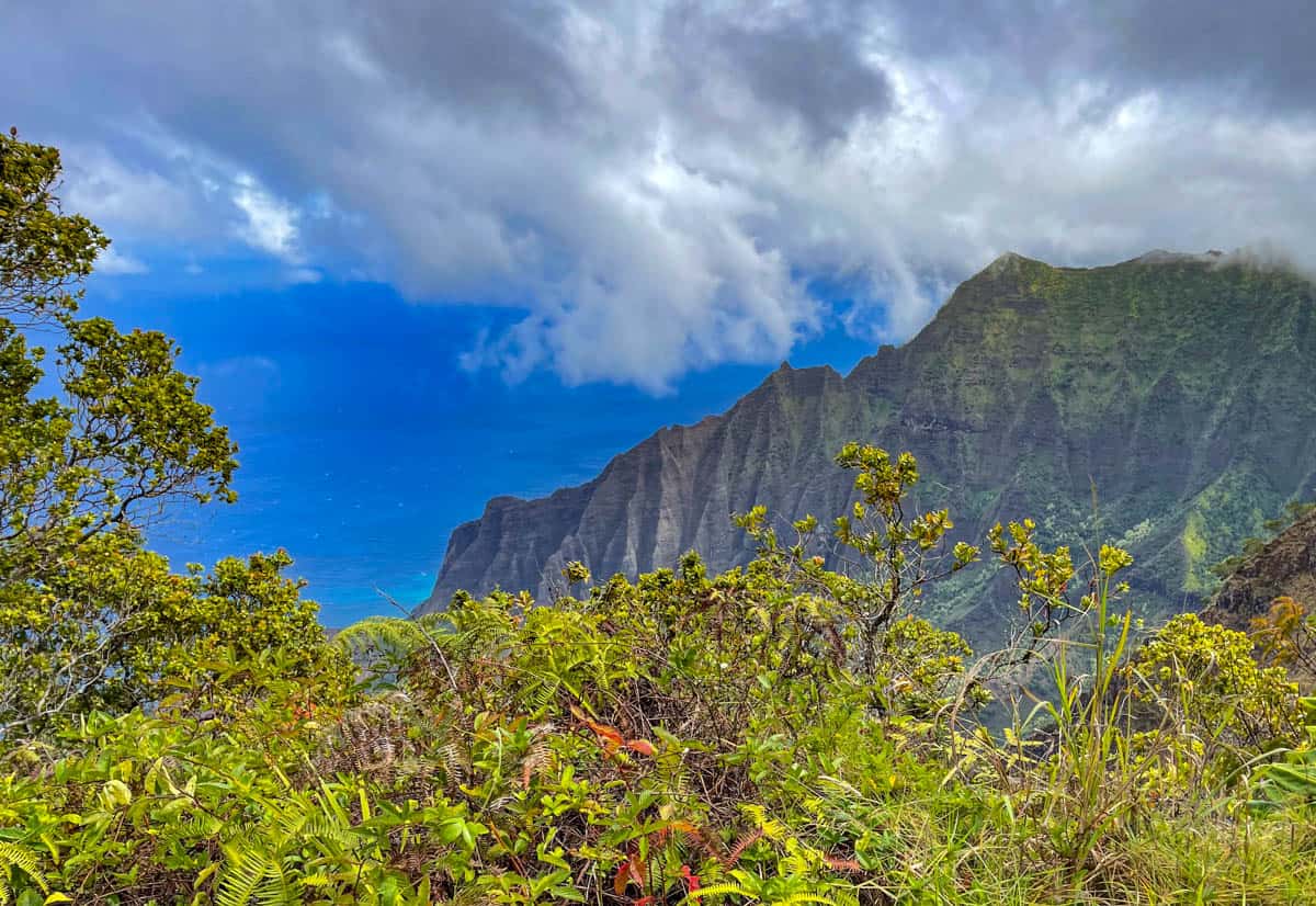 View into Kalalau Valley from Koke'e State Park in Kauai, Hawaii